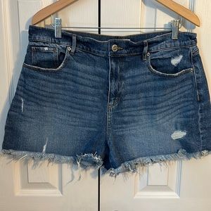 Loft High Rise Distressed Jean Shorts